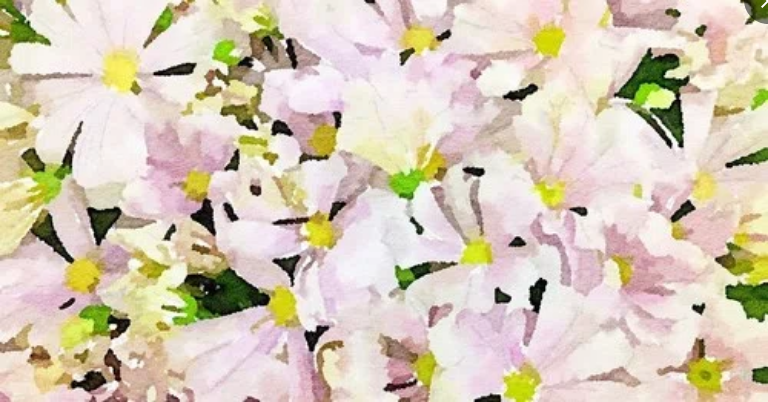 台湾での地震に被災された皆様に、心よりお見舞い申し上げます