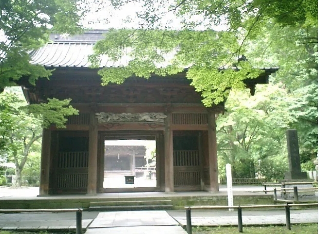 蕨で、台湾ワーキングホリデー経験大学生と交流会